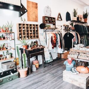 Organic Herbal Tea Collection